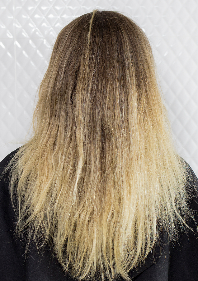 Imagem sem descrição